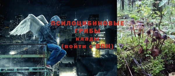 мяу мяу кристалл Алексин