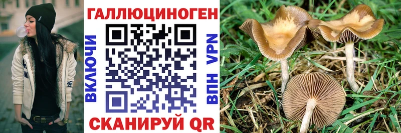 цены наркотик  Лаишево  Псилоцибиновые грибы MAGIC MUSHROOMS 